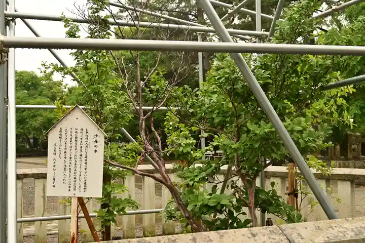 鶴林寺(兵庫県)