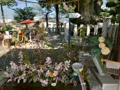 西宮八幡宮の{uncategorized: "未分類", other: "その他", undefined: "問題あり", building: "その他建物", grave: "お墓", sacred_gate: "鳥居", guardian: "狛犬", statue: "像", buddha: "仏像", history: "歴史", nature: "自然", garden: "庭園", animal: "動物", pagoda: "塔", temizu: "手水舎", mountain_gate: "山門・神門", sanctuary: "本殿・本堂", subordinate: "末社・摂社", art: "芸術", scenery: "景色", jizo: "地蔵", ema: "絵馬", goshuin: "御朱印", omikuji: "おみくじ", items: "授与品その他", amulet: "お守り", goshuincho: "御朱印帳", eats: "食事", festival: "お祭り", votive_dance: "神楽", shichigosan: "七五三参", wedding: "結婚式", experience: "体験その他", initially: "初詣", around: "周辺", anti_infection: "感染症対策"}