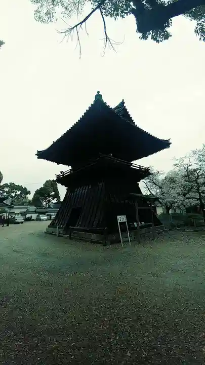 大樹寺(松安院大樹寺)(愛知県)