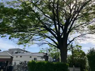 了善寺の{uncategorized: "未分類", other: "その他", undefined: "問題あり", building: "その他建物", grave: "お墓", sacred_gate: "鳥居", guardian: "狛犬", statue: "像", buddha: "仏像", history: "歴史", nature: "自然", garden: "庭園", animal: "動物", pagoda: "塔", temizu: "手水舎", mountain_gate: "山門・神門", sanctuary: "本殿・本堂", subordinate: "末社・摂社", art: "芸術", scenery: "景色", jizo: "地蔵", ema: "絵馬", goshuin: "御朱印", omikuji: "おみくじ", items: "授与品その他", amulet: "お守り", goshuincho: "御朱印帳", eats: "食事", festival: "お祭り", votive_dance: "神楽", shichigosan: "七五三参", wedding: "結婚式", experience: "体験その他", initially: "初詣", around: "周辺", anti_infection: "感染症対策"}
