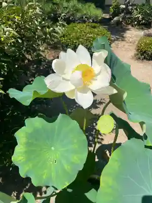 大仙寺(岐阜県)