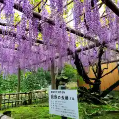 行興寺(静岡県)