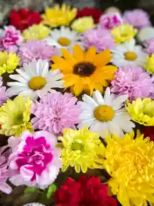 伊達神社の手水舎(2022年07月09日(土) 10時41分17秒投稿)