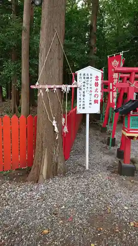 相州春日神社の自然