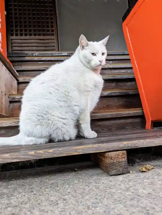 羽黒神社(岡山県)