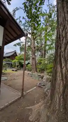 菅大臣神社(京都府)