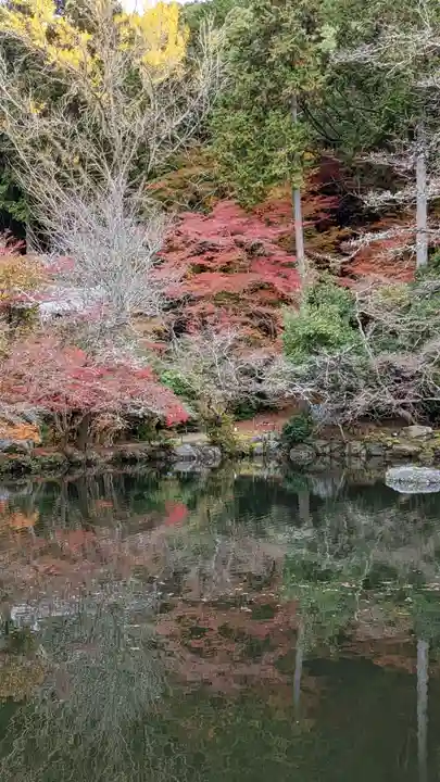 醍醐寺(京都府)