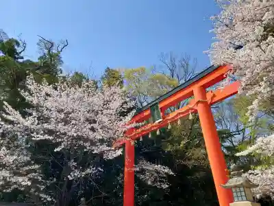 鏡作坐天照御魂神社の{uncategorized: "未分類", other: "その他", undefined: "問題あり", building: "その他建物", grave: "お墓", sacred_gate: "鳥居", guardian: "狛犬", statue: "像", buddha: "仏像", history: "歴史", nature: "自然", garden: "庭園", animal: "動物", pagoda: "塔", temizu: "手水舎", mountain_gate: "山門・神門", sanctuary: "本殿・本堂", subordinate: "末社・摂社", art: "芸術", scenery: "景色", jizo: "地蔵", ema: "絵馬", goshuin: "御朱印", omikuji: "おみくじ", items: "授与品その他", amulet: "お守り", goshuincho: "御朱印帳", eats: "食事", festival: "お祭り", votive_dance: "神楽", shichigosan: "七五三参", wedding: "結婚式", experience: "体験その他", initially: "初詣", around: "周辺", anti_infection: "感染症対策"}