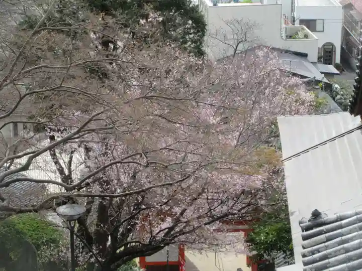 金剛宝寺(紀三井寺)(和歌山県)