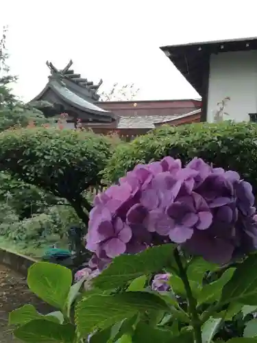 武蔵第六天神社の自然