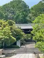光明寺(粟生光明寺)の山門・神門