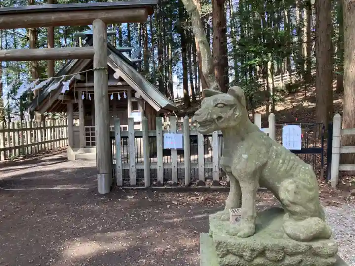 宝登山神社奥宮の狛犬