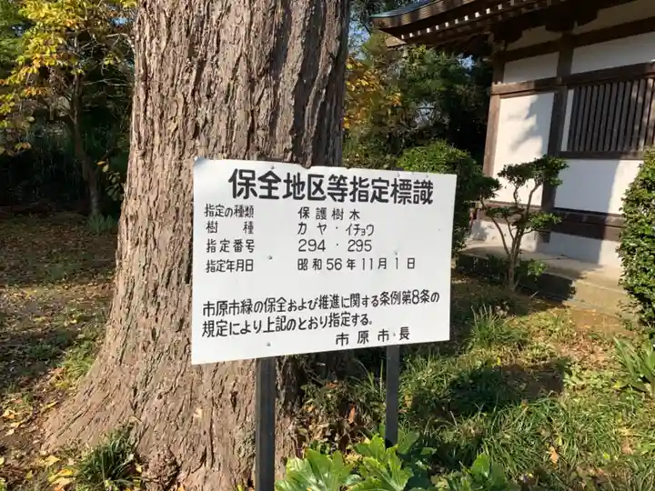 醫光寺のその他建物