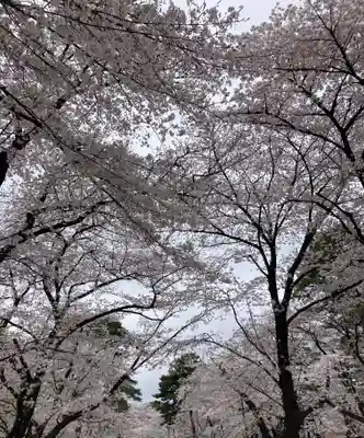 武蔵一宮氷川神社(埼玉県)