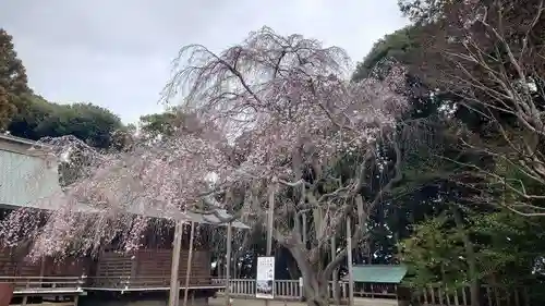常陸第三宮　吉田神社(茨城県)