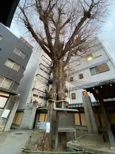 本能寺の{uncategorized: "未分類", other: "その他", undefined: "問題あり", building: "その他建物", grave: "お墓", sacred_gate: "鳥居", guardian: "狛犬", statue: "像", buddha: "仏像", history: "歴史", nature: "自然", garden: "庭園", animal: "動物", pagoda: "塔", temizu: "手水舎", mountain_gate: "山門・神門", sanctuary: "本殿・本堂", subordinate: "末社・摂社", art: "芸術", scenery: "景色", jizo: "地蔵", ema: "絵馬", goshuin: "御朱印", omikuji: "おみくじ", items: "授与品その他", amulet: "お守り", goshuincho: "御朱印帳", eats: "食事", festival: "お祭り", votive_dance: "神楽", shichigosan: "七五三参", wedding: "結婚式", experience: "体験その他", initially: "初詣", around: "周辺", anti_infection: "感染症対策"}
