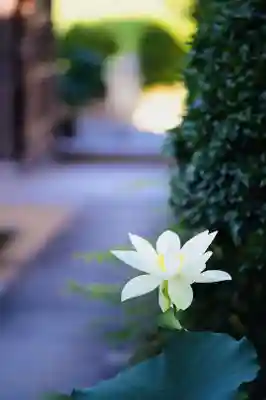 浄土寺(兵庫県)