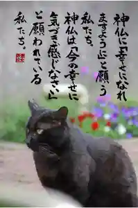 専念寺(大阪府)(2022年05月26日(木) 19時17分44秒投稿)