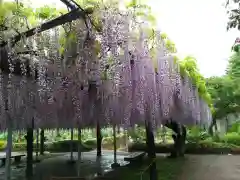 箭弓稲荷神社の庭園