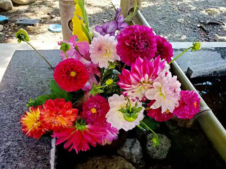 高司神社〜むすびの神の鎮まる社〜の手水舎