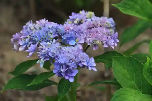 熊野福藏神社の庭園