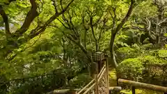 華厳寺（鈴虫寺）(京都府)