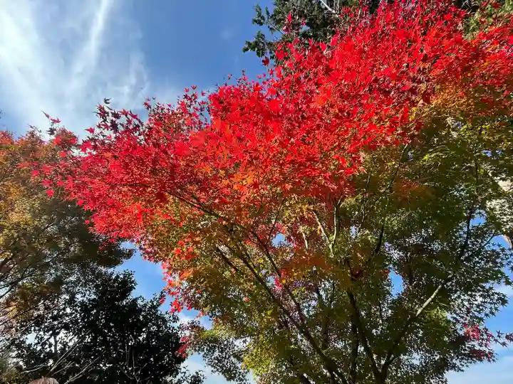 清水寺(京都府)