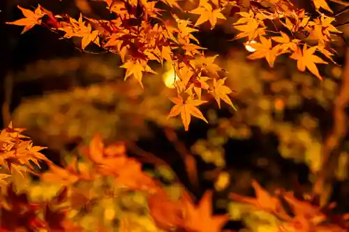 北野天満宮(京都府)