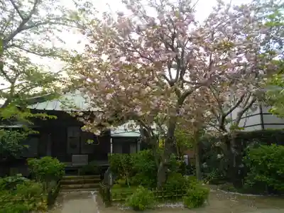 極楽寺（霊鷲山感應院極楽律寺）のその他建物