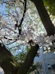 熊野道祖神社(福岡県)