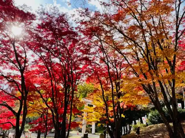 土津神社|こどもと出世の神さまの景色