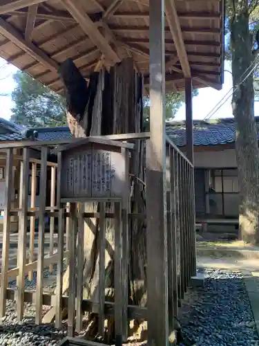 泉神社のその他建物