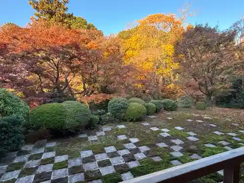 東福禅寺（東福寺）(京都府)