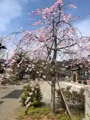 木田神社(福井県)