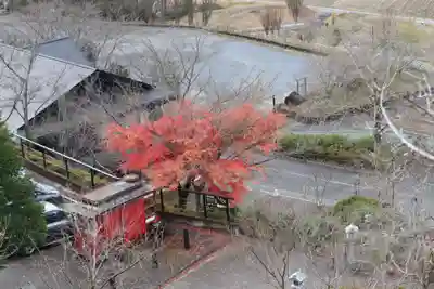 常陸国出雲大社(茨城県)