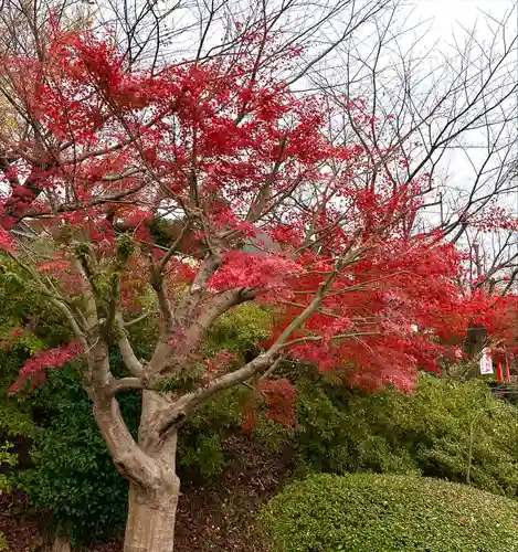 足立山妙見宮（御祖神社）(福岡県)