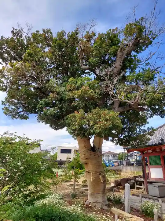 家原寺(大阪府)
