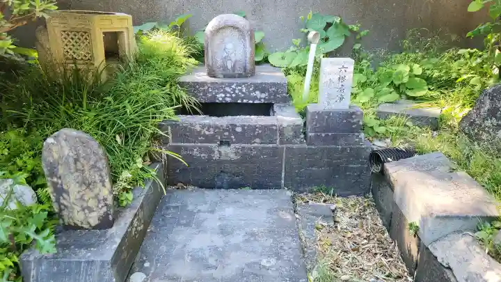 観音寺の{uncategorized: "未分類", other: "その他", undefined: "問題あり", building: "その他建物", grave: "お墓", sacred_gate: "鳥居", guardian: "狛犬", statue: "像", buddha: "仏像", history: "歴史", nature: "自然", garden: "庭園", animal: "動物", pagoda: "塔", temizu: "手水舎", mountain_gate: "山門・神門", sanctuary: "本殿・本堂", subordinate: "末社・摂社", art: "芸術", scenery: "景色", jizo: "地蔵", ema: "絵馬", goshuin: "御朱印", omikuji: "おみくじ", items: "授与品その他", amulet: "お守り", goshuincho: "御朱印帳", eats: "食事", festival: "お祭り", votive_dance: "神楽", shichigosan: "七五三参", wedding: "結婚式", experience: "体験その他", initially: "初詣", around: "周辺", anti_infection: "感染症対策"}