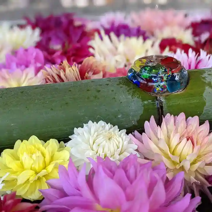 岡寺(龍蓋寺)の手水舎