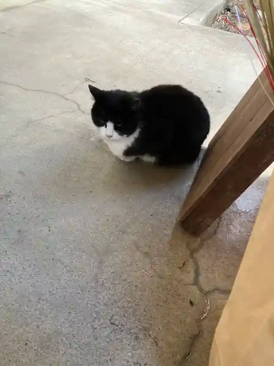 今市報徳二宮神社(栃木県)