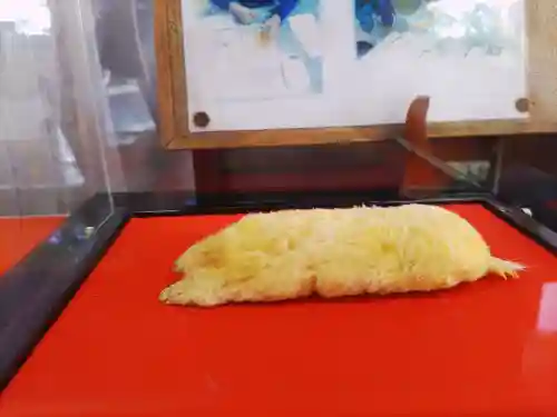 下野 星宮神社(栃木県)