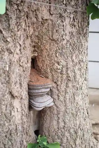 実蔵院(埼玉県)