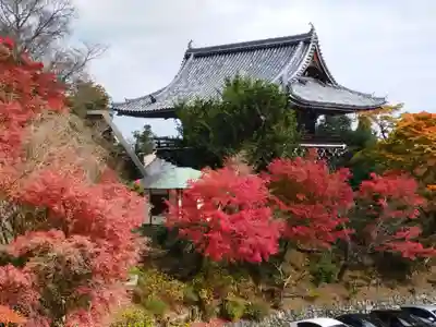 善峯寺(京都府)