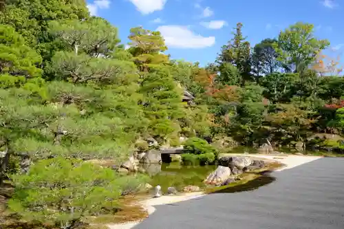 仁和寺の庭園