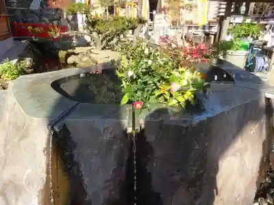 妙圓寺の手水舎