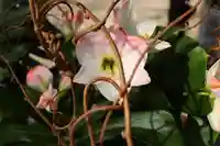 三津厳島神社(愛媛県)