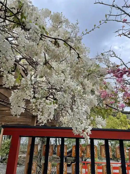 旗上弁財天社の自然