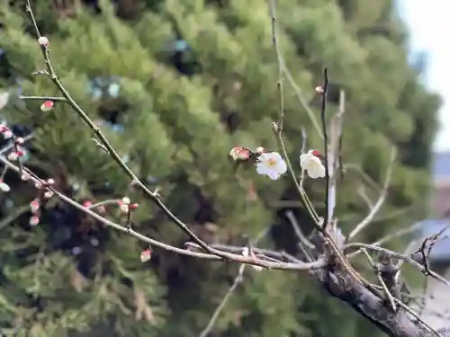 伊勢の国 四天王寺の自然
