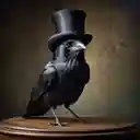The Ravenさんのプロフィール画像