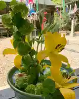 滑川神社 - 仕事と子どもの守り神の手水舎